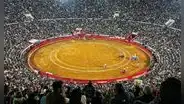 La Ciudad de México cambia las corridas de toros para siempre: el fin de la violencia y la muerte de los animales