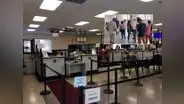 DMV del sur de Florida colapsa: empresas reservan varias citas y las venden hasta por US$250 cada uno