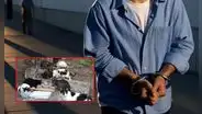 Sentencian a 40 años a empleado de un refugio de animales en Texas por torturar y asesinar gatitos: joven se declaró culpable
