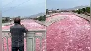 Desechos que tiñeron de rojo el río Rímac habrían salido de un colector de Sedapal, pero rechazan responsabilidad y culpan a textilera