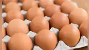 Huevos gratis en Chicago: conoce la hora y los puntos de entrega para este 21 y 22 de marzo