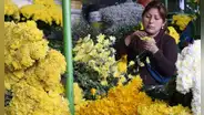 Flores amarillas, 21 de marzo: ¿en qué países de América Latina se regalan y por qué?