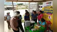 Minsa lanza alerta por aumento de casos de fiebre amarilla en zonas de Amazonas, Huánuco y San Martín