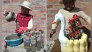 Adulta mayor sorprende al convertir botellas de plástico en un adorable macetero: “Peruana luchadora”