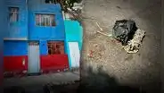 Detonan explosivo en casa de comerciante en Independencia tras dejarle una corona fúnebre