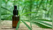 Aviso importante en Nueva York: Kathy Hochul firma 2 leyes para expandir el mercado agrícola de cannabis en el estado