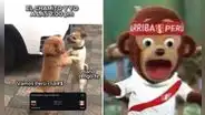 Los mejores memes previo al Perú vs. Venezuela por las Eliminatorias 2026: “El que pierde se lleva a Dina"