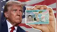 Malas noticias de Trump sobre la Green Card: qué alternativas tienen los inmigrantes tras pausa de solicitudes de la tarjeta verde