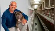 ¿Qué pasa con César Millán? El 'encantador de perros' es tendencia en EEUU tras rumores de un supuesto arresto