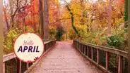 ¡Bienvenido, abril! Revisa estas frases bonitas y motivadoras para darle la bienvenida a un nuevo mes