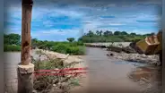 Puente en Lambayeque colapsa tras intensas lluvias en Zaña: más de 4.000 familias incomunicadas