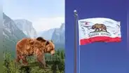 ¿Por qué hay un oso en la bandera de California? Descubre la historia tras sus símbolos cuando pertenecía a México y no a EEUU