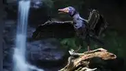 Científicos realizan un experimento con pollos y lograron que les brotaran plumas parecidas a las de los dinosaurios