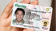 Licencia de conducir en Florida: estas son las multas por manejar sin brevete este 2025