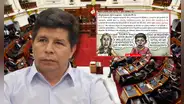 Congreso saltó la reglas para vacar a Pedro Castillo: Carlincatura expone las incongruencias durante la votación del Pleno