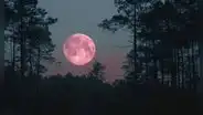 Luna Rosa de abril 2025 en Colombia: ¿cuándo, a qué hora y cómo ver el evento astronómico?