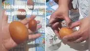 Gallina pone enorme huevo y mujer revela lo que contiene: "Cuando la receta te pide 1 yema y dos claras"