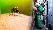 Estudio científico sudamericano advierte que los mosquitos del dengue ya son resistentes a la fumigación