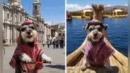 Recrean con IA la visita de perrito a lugares emblemáticos del Perú y el resultado enternece: "Un peruano más"
