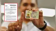 Cambios en la emisión de la licencia de conducir: aprueban nuevo sistema tras aprobación de Ley 1898