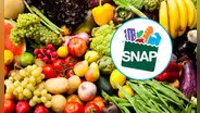 SNAP en Florida 2025: conoce cuándo y cómo renovar tu cupón para alimentos en abril