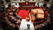 Congreso propone crear semana del King Kong en medio de crisis de salud e inseguridad ciudadana