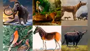 ¿La era de la desextinción? Científicos podrían devolver la vida a estas especies como hicieron con el 'lobo terrible'