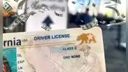 Real ID a menor costo en California: requisitos para acceder a la tarifa reducida de la identificación en 2025