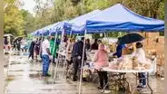 Florida: estos son los puntos de entrega de alimentos gratuitos sin inscripción previa y disponibles este fin de semana