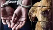 Arrestan a mujer en Michigan por atacar brutalmente a su perro y difundir las imágenes en sus redes sociales