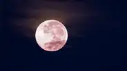 La luna se "teñirá de rosa" este fin de semana: ¿a qué hora ver la luna rosa de abril?