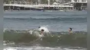 Bandera roja por oleajes anómalos: reabren Agua Dulce, Herradura y otras dos playas en Chorrillos