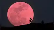 Esta es la sorprendente relación entre la luna llena rosa y Semana Santa: ¿cómo ver este fenómeno espacial?