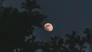La Luna Rosa ilumina el cielo de Nicaragua en 2025: significado, a qué hora y cómo verla