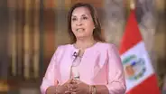 "Dina Boluarte es la culpable": expertos coinciden que presidenta es la responsable del incremento de la criminalidad