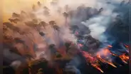 Malas noticias para residentes de Florida: NWS advierte incremento del riesgo de incendios forestales en Miami-Dade y Broward