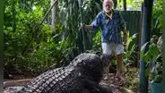 Este es el cocodrilo más grande del mundo: vivió 110 años en cautiverio en Australia y medía más de 5 metros