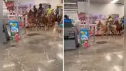 Jóvenes entran a centro comercial cabalgando unos caballos y aseguran que son de 'apoyo emocional'