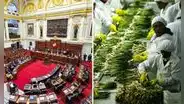 Congreso alista más beneficios tributarios: debatirán Ley Chlimper 2.0 y zonas económicas con 0% de impuesto