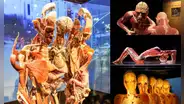 Body Worlds, la exposición con cadáveres reales que desata polémica por mostrar posibles cuerpos de desaparecidos