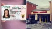 Licencia de conducir en Florida: estas son las faltas por las que FLHSMV te puede revocar el permiso