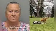 Arrestan a mujer en Florida por rociar gas pimienta a varios perros: fue vetada del parque por crueldad animal