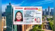 Licencia de conducir en Illinois: DMV anuncia nueva oficina para tramitar el documento y la Real ID