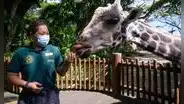 El zoológico más grande del mundo reúne a 2530 animales y necesitas 3 horas para visitarlo: no está en Estados Unidos