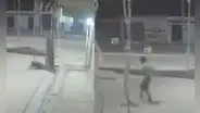 Se fue sin nada y herido: ladrón se lanza desde segundo piso de pollería para escapar en Iquitos