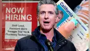 Gavin Newsom aprueba nueva ley que permite trabajar en California sin la necesidad de tener una licencia de conducir en 2025