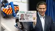 Vigente enmienda firmada por Ron DeSantis en Florida suspende licencia a conductores e incauta vehículos en 2025