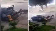 Perritos callejeros desmantelaron auto a mordidas y usuarios quedan atónitos: “Como le explico al seguro”