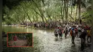 Darién, la selva mortal que los migrantes cruzan para alcanzar el sueño americano: ¿por qué es tan peligrosa?