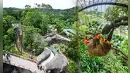 No está en Estados Unidos: el zoológico más grande del mundo reúne a 2530 animales y necesitas 3 horas para visitarlo